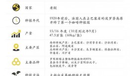 老挝最近短视频爆料,带你领略神秘国度的日常生活